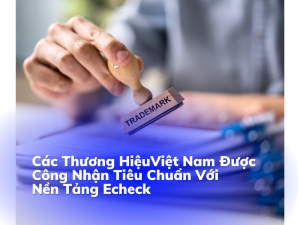 cac thuong hieu viet nam duoc cong nhan tieu chuan voi nen tang echeck