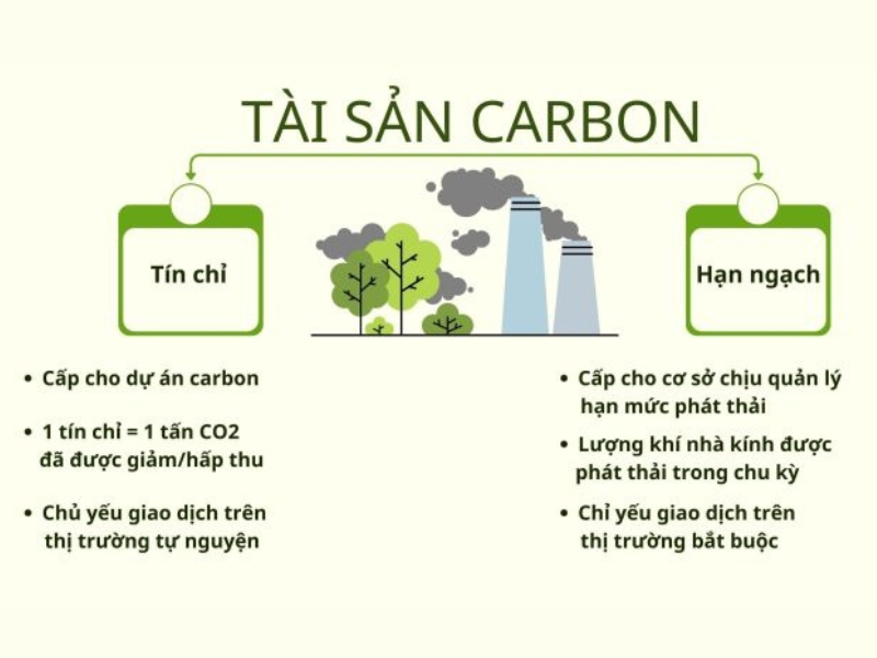 thi truong carbon va cac loai tai san carbon