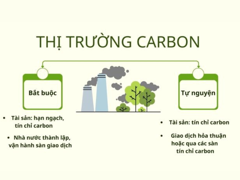 thi truong carbon va cac loai tai san carbon