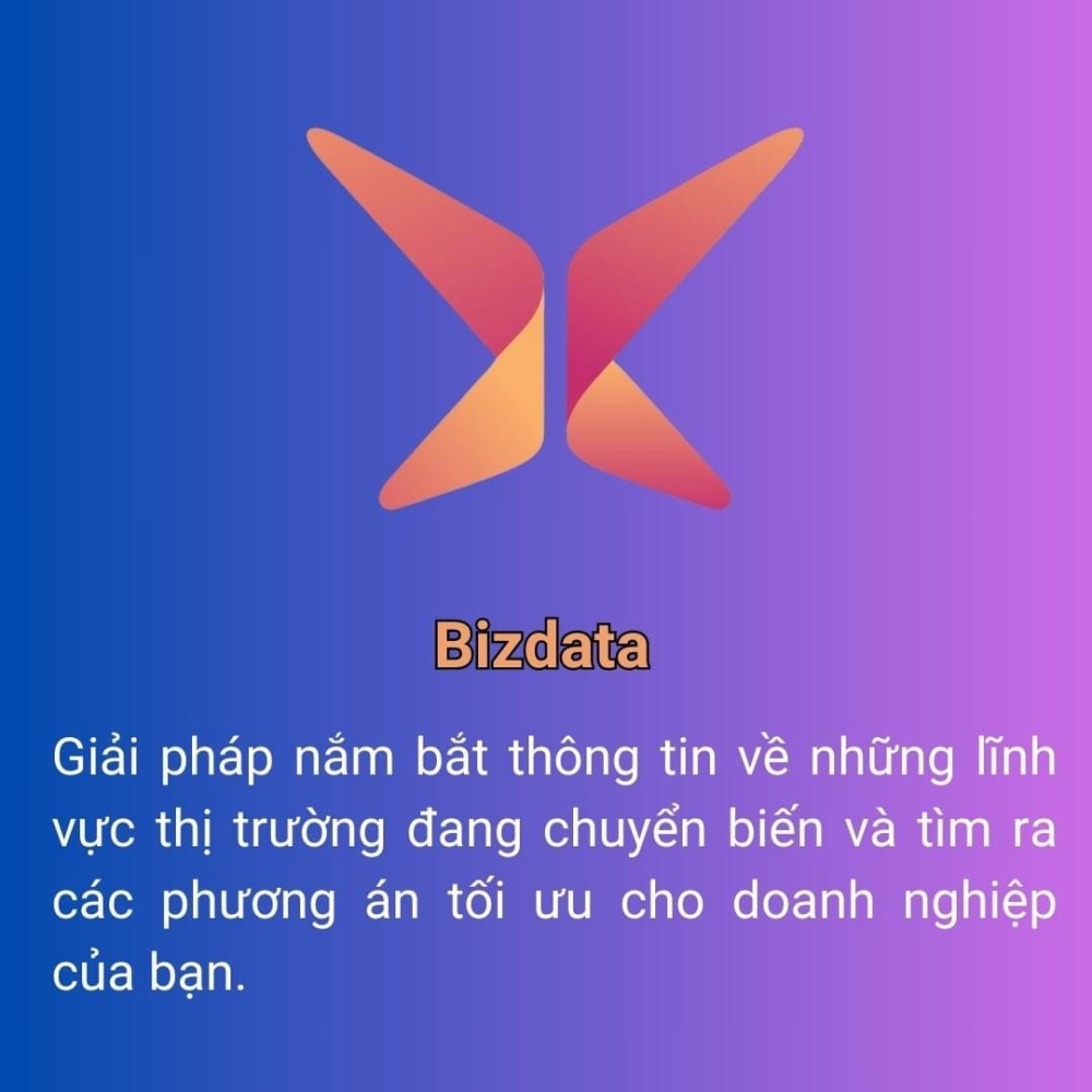 bizdata   nen tang so danh cho doanh nghiep doanh nhan