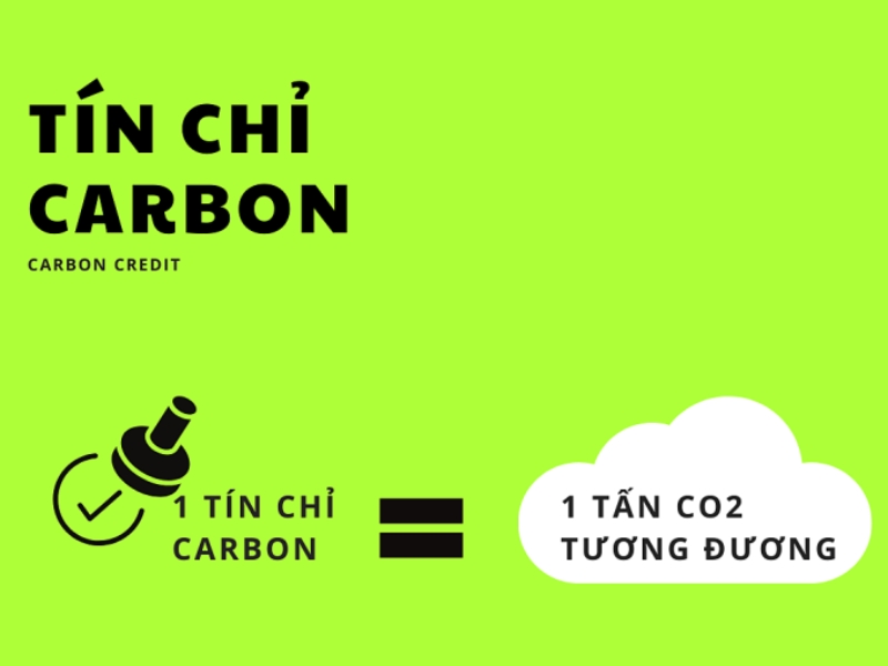 tin chi carbon la gi